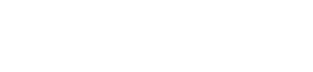 novo.portaldoholanda.com.br